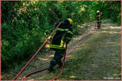 B13