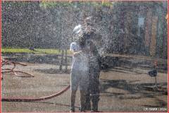 B12